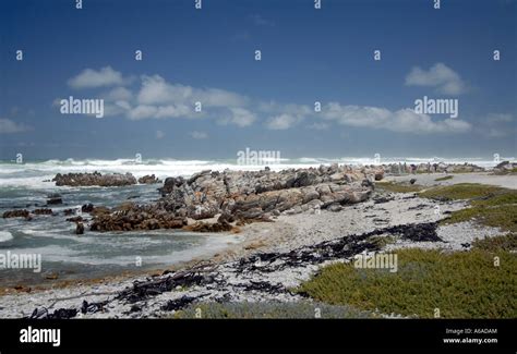 Cape Agulhas And The Altantic Ocean Cape Agulhas Is The Most Southerly