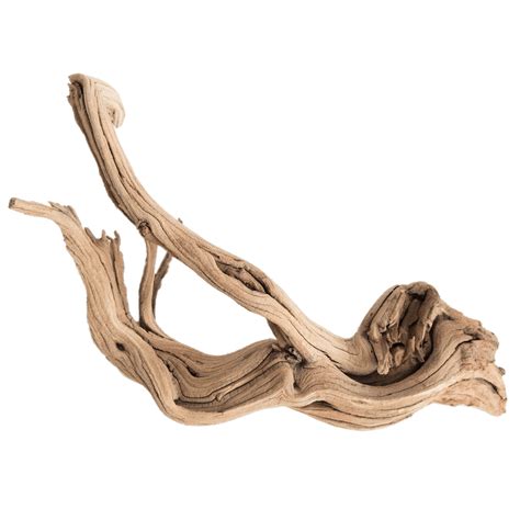 Piece Of Driftwood Transparent Png Stickpng