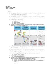 Immunology Exam Chapters Study Guide Complete Doc Pcb Exam