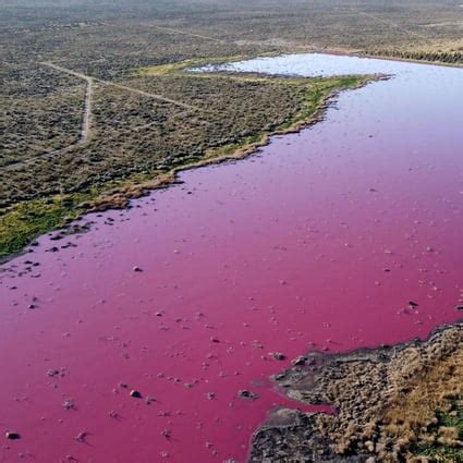 Bright pink lagoon has environmentalists in Argentina seeing red | South China Morning Post