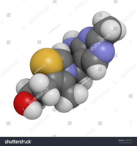 Vitamin B Thiamine Molecular Model Atoms Stock Illustration