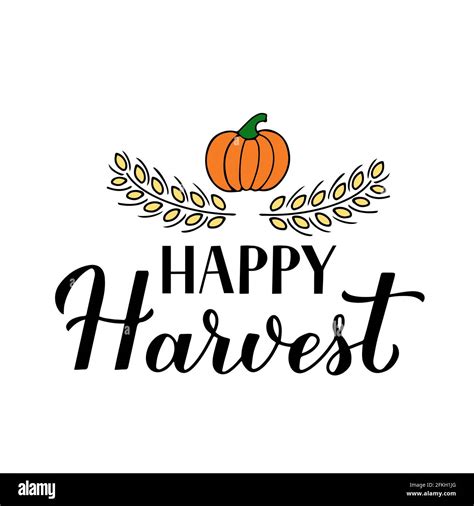 Happy Harvest Calligraphy Lettering With Hand Drawn Pumpkin And Wheat