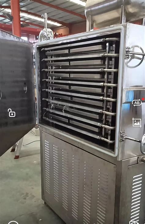 Vacuum Freeze Dryer Vegetable Fruit Drying Store Use Lyophilizer