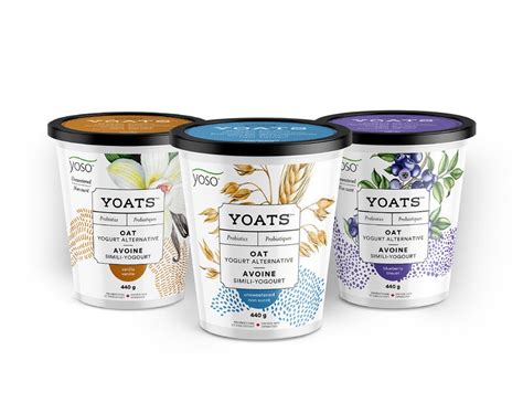 Artisan Oat Milk Yogurts : Oat Milk Yogurt 1