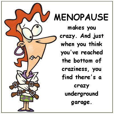 28 Best Funny Side Of Having Hot Flashes Images On Pinterest Hot Flashes Menopause Humor And