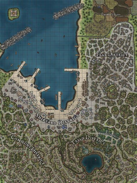 Blissful Wizard Inkarnate Inkarnate Create Fantasy Maps Online