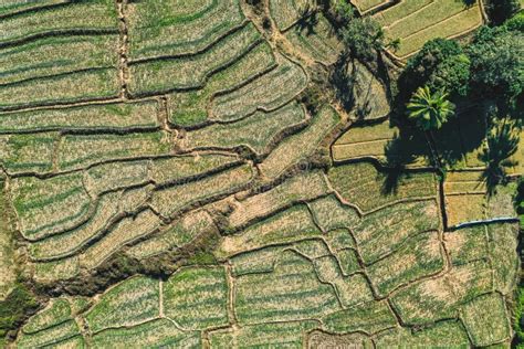 Aerial View Of Mae La Noi Rice Terraces In Mae Hong Son Thailand Stock