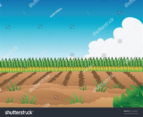 Cartoon Vector Illustration Of A Crop Field 116350951 Shutterstock