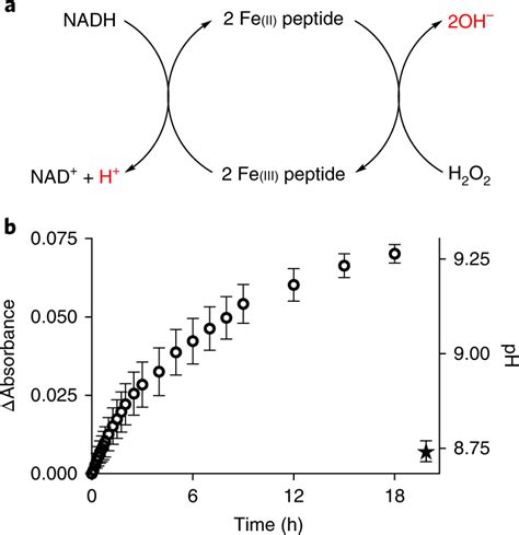 Proton Gradient Across Vesicle Membranes A Schematic Of Electron