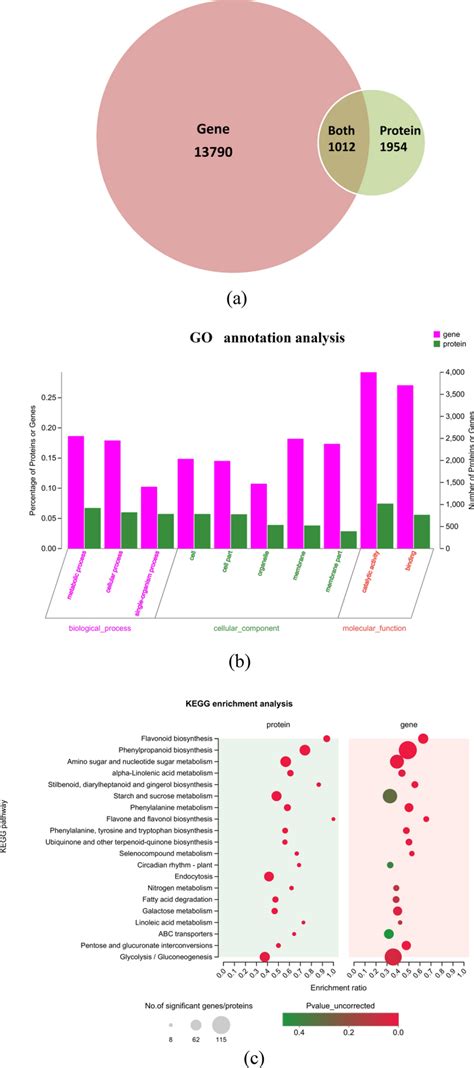 A Results Of The Correlation Analysis Of Degs And Deps B Results