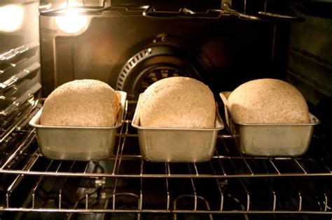 Lievitazione Casalinga Dove E Come Far Lievitare Il Pane Per Avere Un