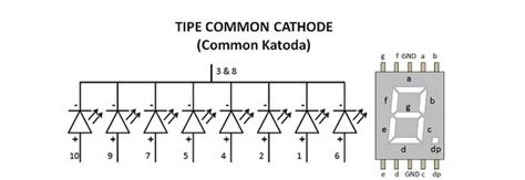 Noval Gandhi S (201731236): 7 Common Anoda & Katoda