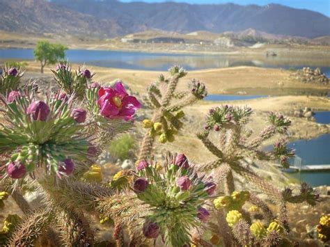 Nuui Cunni Interpretive Center Hidden California