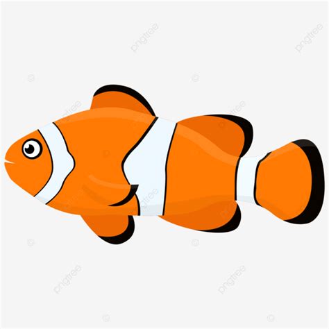 Gambar Ikan Nemo