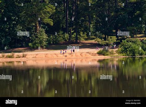 Una Familia Jugando Y Alimentando A Los Patos En El Lago En Un Parque