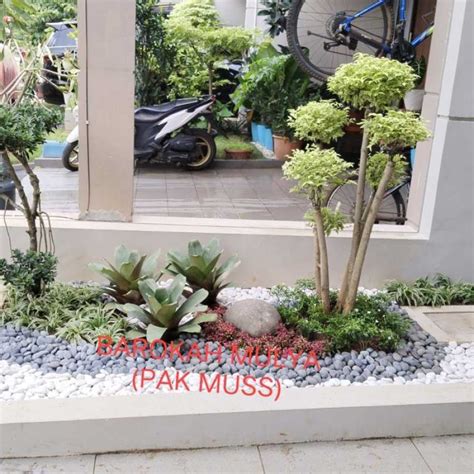 Jual Taman Minimalis Taman Kering Atau Taman Depan Rumah Di Seller