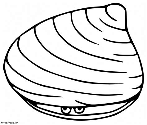 Printable Clam Coloring Page