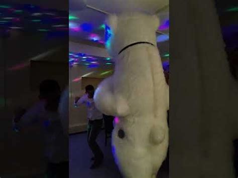 Зажигательные дуэт!!! Поздравление от белого медведя - YouTube