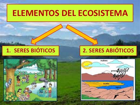 Ecosistema Qu Es Tipos Caracter Sticas Importancia Y M S