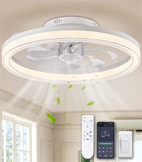 LUDOMIDE Ceiling Fans with Lights, 20" Low Profile Ceiling Fan with ...