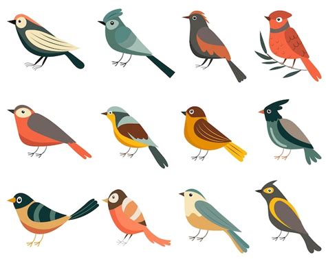 Premium Vector Set Of Birds Of Different Breeds Vector