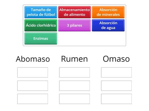 Sistema Digestivo De La Vaca Group Sort