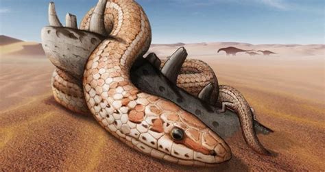 Rare Skull Of Ancient Snake With Legs Discovered In Argentina