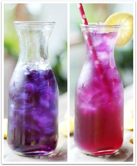 Butterfly Pea Flower Lavender Lemonade Magic Lemonade Primally Inspired