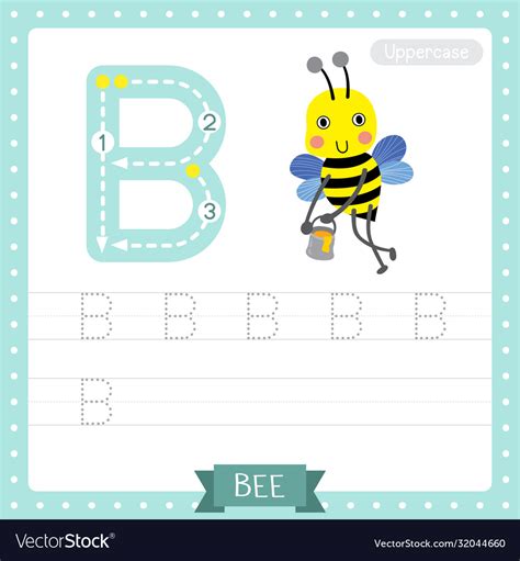 Letter B Uppercase Tracing Practice Worksheet Vector Image