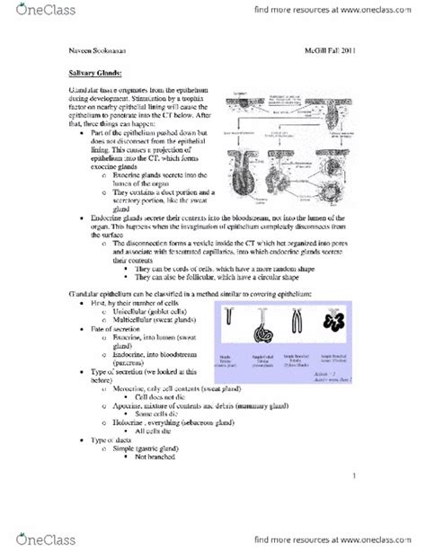 ANAT 261 Study Guide Spring 2014 Final Interlobular Arteries