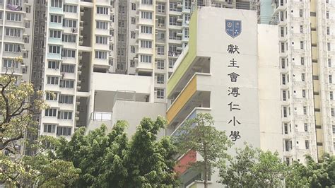 教育局：獻主會溥仁小學下學年不可開辦私立小一 Now 新聞