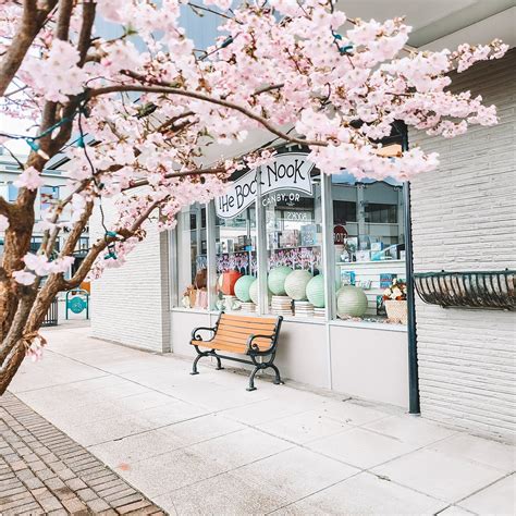 The Book Nook Canby 2022 Lo Que Se Debe Saber Antes De Viajar