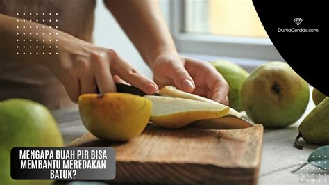 buah pir bisa membantu meredakan batuk dunia cerdas