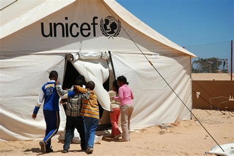 Comprendre L Unicef Et Les Droits De L Enfant Myunicef