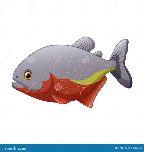 A Cartoon Piranha Fish CartoonDealer 152081137