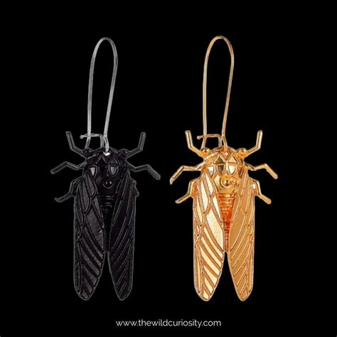 Cicada Drop Earrings Cicada Jewellery Black Or Gold Winged Insects