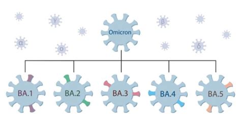 ‘Omicron has started to splinter’: Winter COVID wave may come with a ... 
