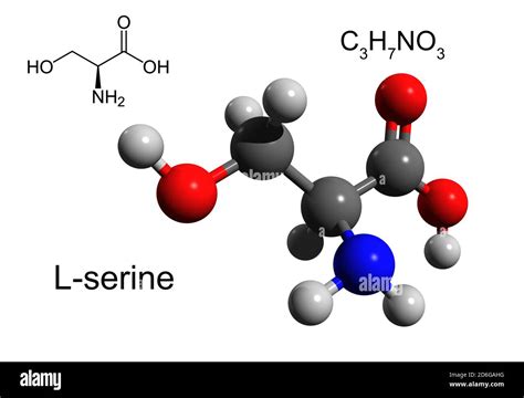 Amino Acid Hi Res Stock Photography And Images Alamy