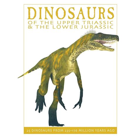 Specialty Books :: All Specialty :: Dinosaurs, Fossils, & Geology Books ...