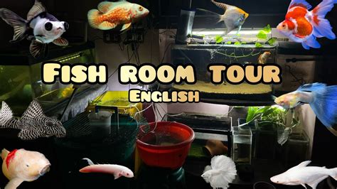 🤩fish Room Tour🐠 All My Fish In Single Video🥳 March Month Fish Room