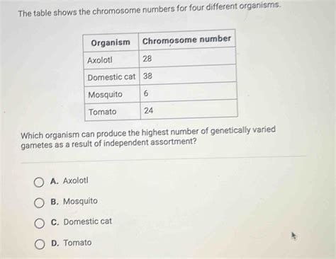 Solved The Table Shows The Chromosome Numbers For Four Different Organisms Which Organism Can