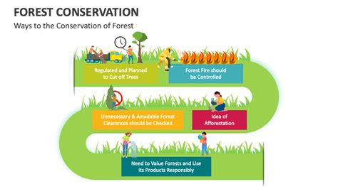 Forest Conservation PowerPoint And Google Slides Template PPT Slides