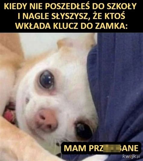 Pierwszy Dzie Wiosny Gazeta Wroc Awska