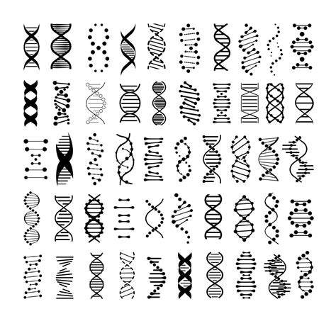 Set Of Dna Icons Vector Art At Vecteezy