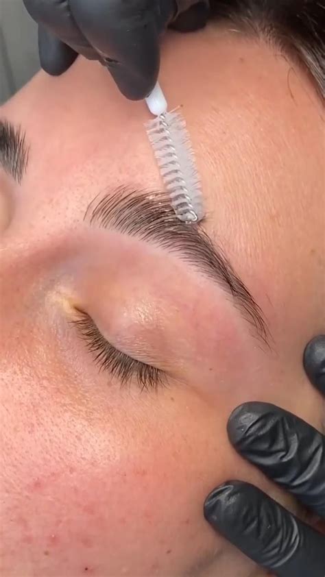 Brow Lamination Maquillaje Natural De Verano Forma De Ceja