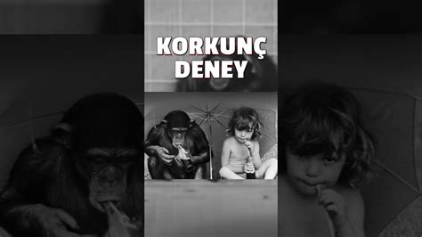 EN KORKUNÇ DENEY kellogg deney bilgi keşfet beniöneçıkart YouTube