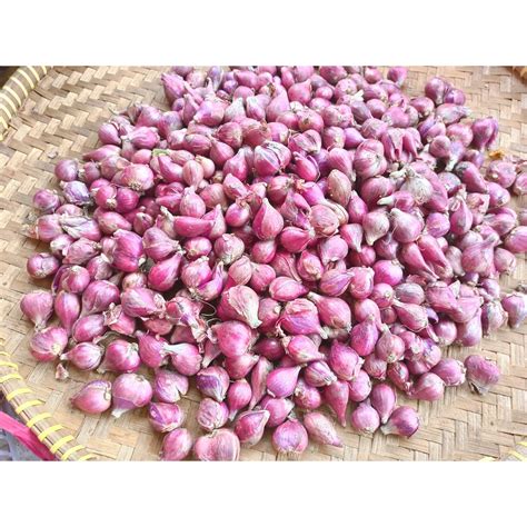 Jual Bawang Merah Brebes Premium Besar Premium Large Local Shallot