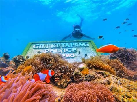 Snorkeling Gili Ketapang: Daya Tarik, Rute, dan Tipsnya