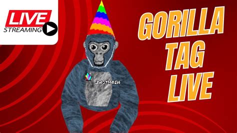 Gorilla Tage LIVE With Viewers 24 7 YouTube