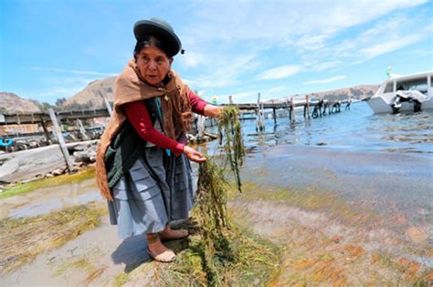 Mujeres Unidas En Defensa Del Agua